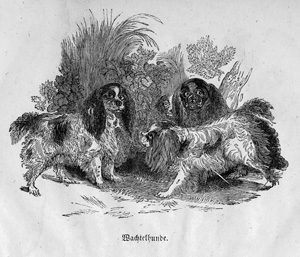 Lot 276, Auction  121, Ehrenkreutz, Hermann von, Vollständige Anleitung zum Erziehen und Dressiren der Hunde