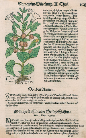 Lot 513, Auction  121, Gotica fractura, Typographie der Inkunabelzeit in originalen Einzelblättern