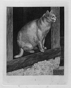 Lot 1141, Auction  121, Mind, Gottfried, Der Katzen-Raphael