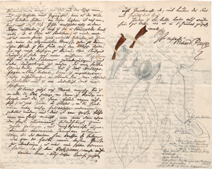 Lot 2463, Auction  121, Payer, Richard, 4 Briefe an Stahlbruckner