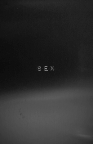 Lot 3677, Auction  121, Madonna und Meisel, Steven, Sex