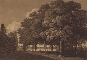 Lot 5225, Auction  121, Chalcographische Gesellschaft Dessau, Aussicht zu Wörlitz über den See nach dem Schochschen Garten