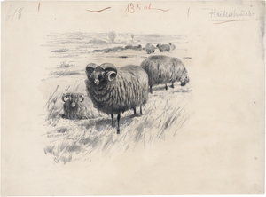 Lot 6837, Auction  121, Kuhnert, Wilhelm, Grasende Heidschnucken