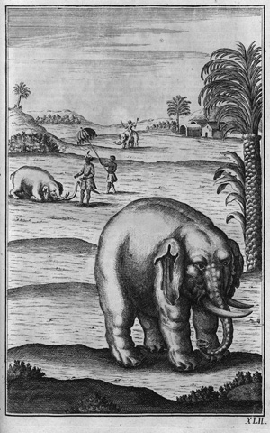 Lot 405, Auction  122, Fleming, Hans Friedrich von, Der vollkommene teutsche Jäger