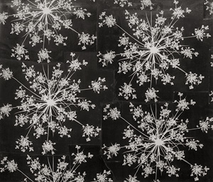 Lot 4279, Auction  122, Thiemann, Elsa, Design for wallpaper 