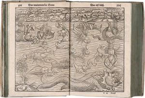 Lot 2555, Auction  123, Lykosthenes, Konrad, Wunderwerck oder Gottes unergründtliches Vorbilden