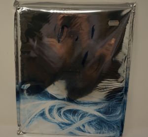 Lot 3555, Auction  123, Madonna, Sex