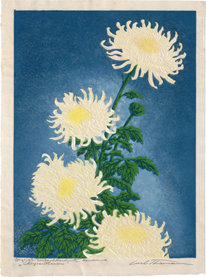 Lot 5612, Auction  123, Thiemann, Carl, Chrysanthemen (weiß)