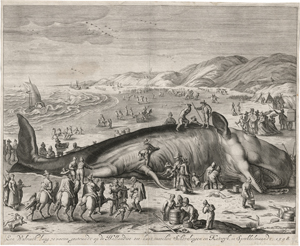 Lot 5746, Auction  123, Gouwen, Willem van der, Der Gestrandete Walfisch zwischen Katwijk