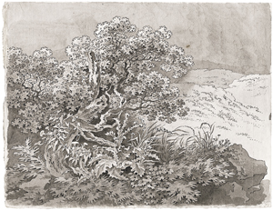 Lot 6614, Auction  123, Zingg, Adrian, Waldstück mit Distel