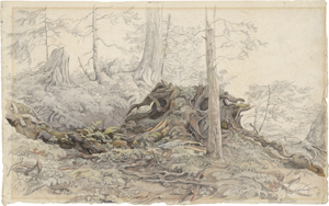 Lot 6651, Auction  123, Voltz, Friedrich, Waldpartie mit Baumwurzeln