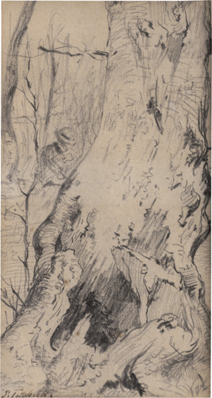 Lot 6692, Auction  123, Tübbecke, Paul Wilhelm, Blick auf die Dächer von Siena