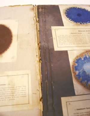 Los 352 - Runge, Friedrich Ferdinand - Der Bildungstrieb der Stoffe - 7 - thumb