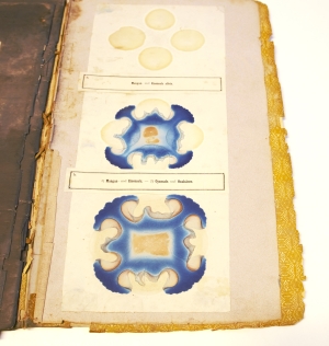 Los 352 - Runge, Friedrich Ferdinand - Der Bildungstrieb der Stoffe - 11 - thumb