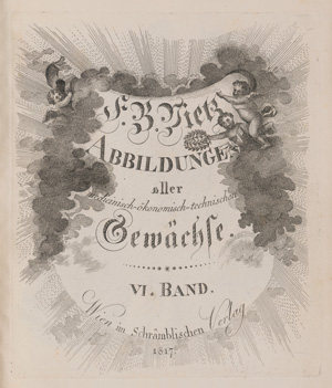 Los 386 - Vietz, Ferdinand Bernhard - Icones plantarum - 1 - thumb