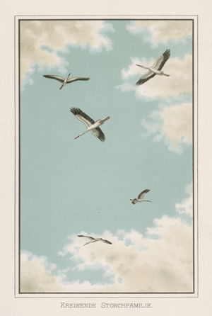 Lot 411, Auction  126, Lilienthal, Otto, Der Vogelflug als Grundlage. Berlin 1889