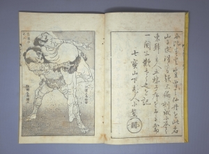 Los 630 - Hokusai, Katsushika - Fugaku hyakkei (japonice: 100 Ansichten des Berges Fuji). 3 Blockbücher - 5 - thumb