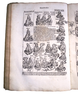 Los 1064 - Schedel, Hartmann - Das Buch der Chroniken und Geschichten. E. dt. A. - 25 - thumb