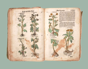 Los 1147 - Lonitzer, Adam - Kreuterbuch - 0 - thumb