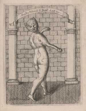 Los 1269 - Schmuck, Friedrich Wilhelm - Fasciculus admirandorum naturae - 2 - thumb