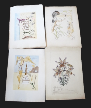 Los 3053 - Dali, Salvador - 29 kolorierte und pochoir-kolorierte Original-Kaltnadelradierungen auf Arches-Velin - 1 - thumb