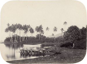 Los 4029 - Courret Hermanos - Souvenirs de l'Ile Tahiti et des Marquises - 3 - thumb