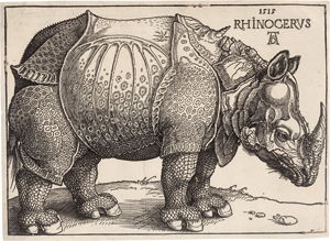 Los 5112 - Dürer, Albrecht - Das Rhinozeros - 0 - thumb