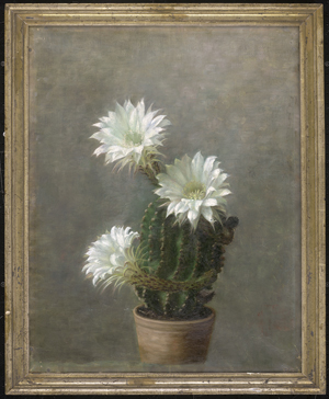 Los 6161 - Dänisch - um 1920. Blühender Echinopsis Kaktus - 1 - thumb