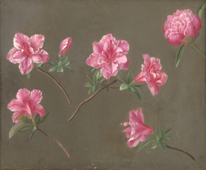 Lot 6175, Auction  126, Östereichisch, 19. Jh. Indische Azalee (Rhododendron simsii)