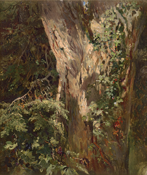 Los 6212 - Französisch - um 1860. Studie einer bewachsenen Eiche - 0 - thumb