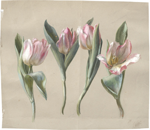 Los 6681 - Deutsch - um 1840. Wiesenblumenstrauß mit Schafgarbe und kleinem Habichtskraut - 1 - thumb