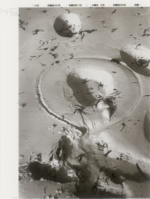 Los 7196 - Beuys, Joseph und Wilp, Charles - Sandzeichnungen - 1 - thumb