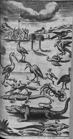 Lot 64, Auction  127, Blome, Richard, Englisches America oder kurtze doch deutliche Beschreibung 