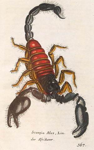 Lot 346, Auction  127, Borowski, Georg Heinrich, Gemeinnüzzige Naturgeschichte des Thierreichs. (Band 6 und 8: Von den Insekten) 