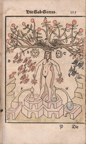 Reusner, Hieronymus und Epimetheus, Franciscus, Pandora, das ist die edelste Gabe Gottes oder der werte und heilsame Stein der Weysen