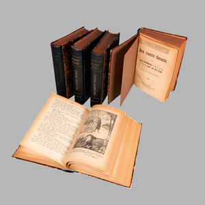 Lot 2087, Auction  127, Kraft, Robert, Das zweite Gesicht oder Die Verfolgung rund um die Erde