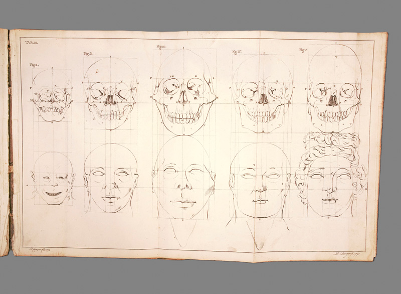 Lot 306, Auction 127, Camper, Peter, Über den natürlichen Unterschied der Gesichtszüge in Menschen