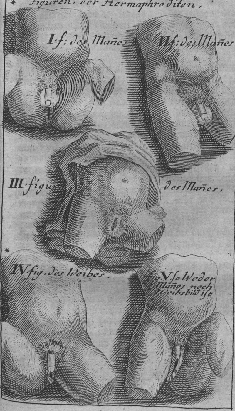 Lot 327, Auction  127, Venette, Nicolas, Von Erzeugung der Menschen