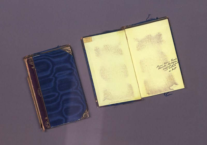 Lot 338, Auction 127, Humboldt, Alexander von, Ansichten der Natur. Stuttgart und Tübingen, Cotta, 1849. - Maßgebliche dritte Auflage