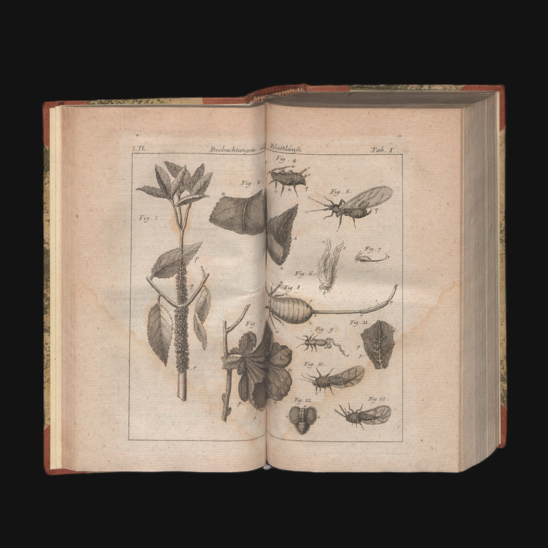 Lot 345, Auction  127, Bonnet, Charles, Abhandlungen aus der Insektologie