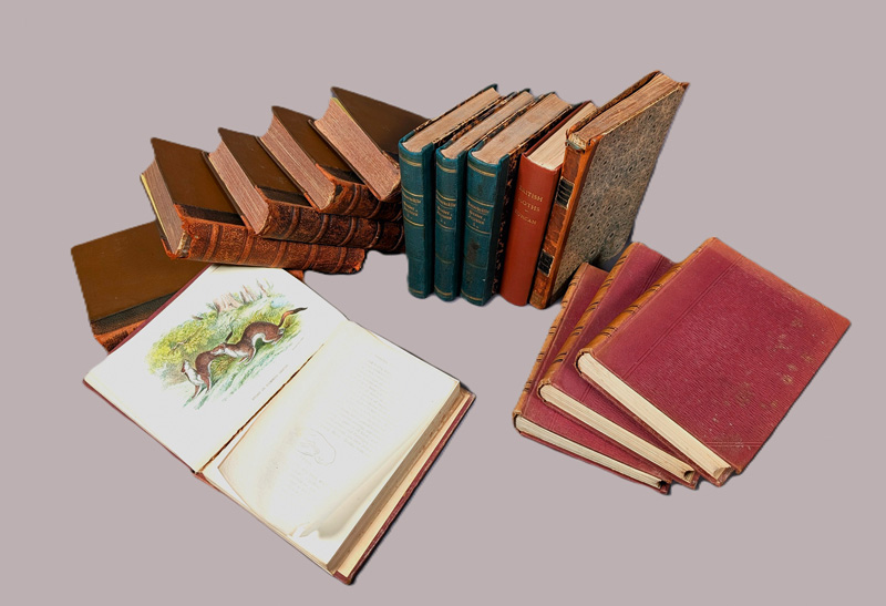 Lot 355, Auction 127, Kirby, William Forsell, A handbook to the order lepidoptera