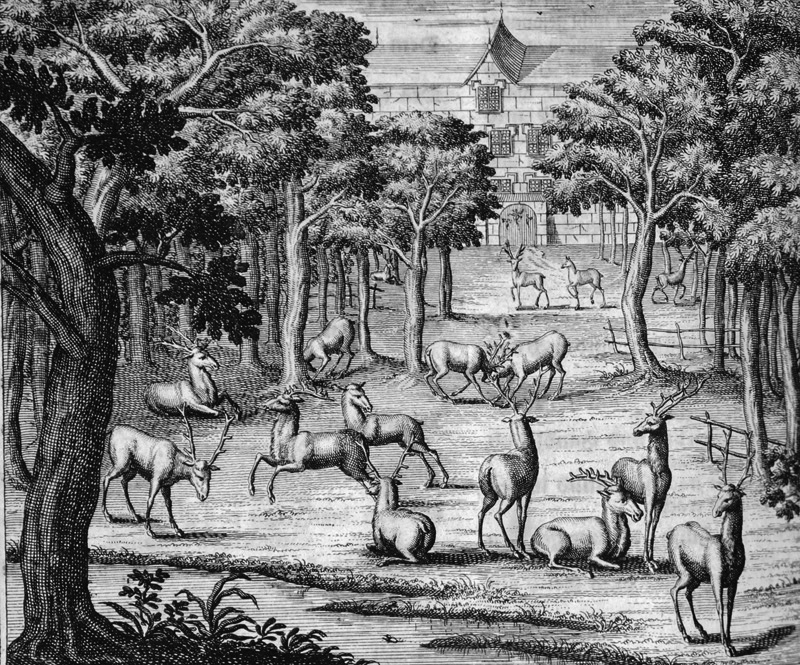 Lot 369, Auction 127, Florinus, Franz Philipp, Oeconomus prudens et legalis continuatus