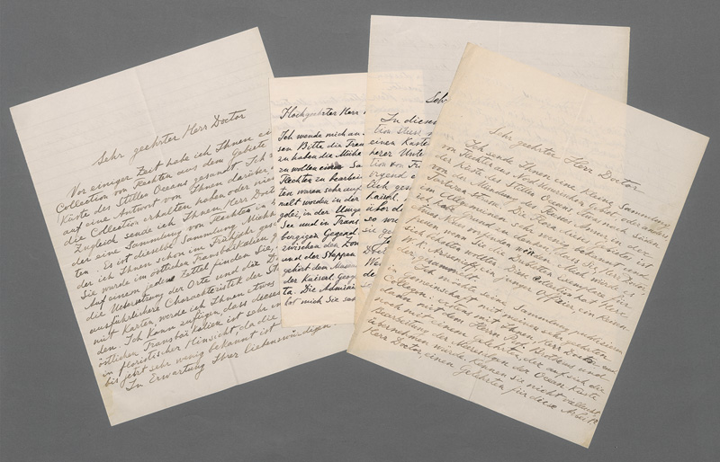 Lot 2570, Auction 127, Palibin, Iwan Wladimirowitsch, 4 Briefe an einen Fachkollegen. St. Petersburg 1909-1912