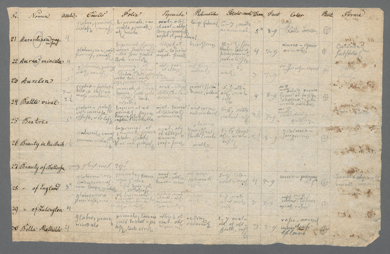 Lot 2574, Auction 127, Tausch, Ignaz Friedrich, Nomenklatur von Zierpflanzen. Ca 1820